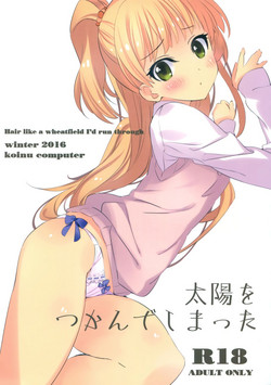 太陽をつかんでしまった圖