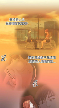 第427頁圖