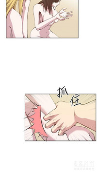 第519頁圖