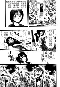 第115頁圖