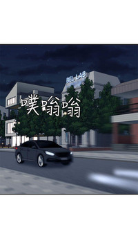 第219页图