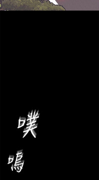 第295頁圖