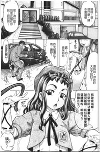 第11頁圖