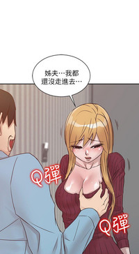 第239頁圖