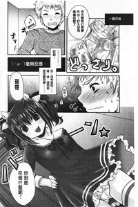 第219頁圖