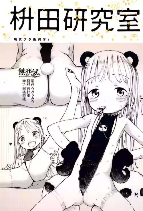 枡田研究室 现代プラ几何学I图
