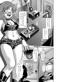 第87頁圖