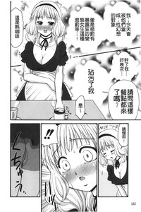 第163頁圖