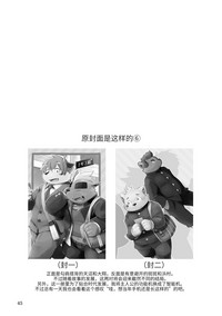 第43页图