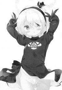 第3页图