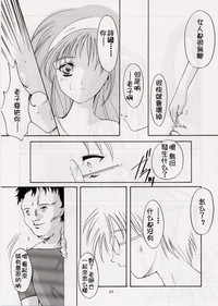 第43頁圖