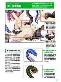 第31頁圖