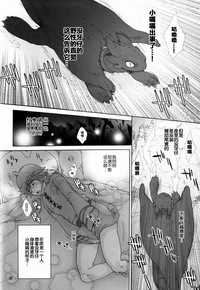 第31頁圖
