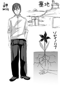 第35頁圖