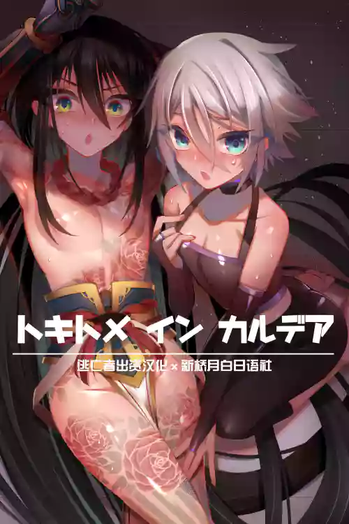 トキトメ イン カルデア圖