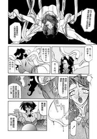 第55頁圖