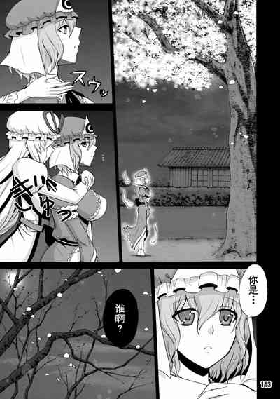 第111頁圖