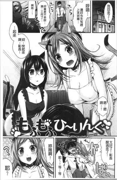 第43頁圖