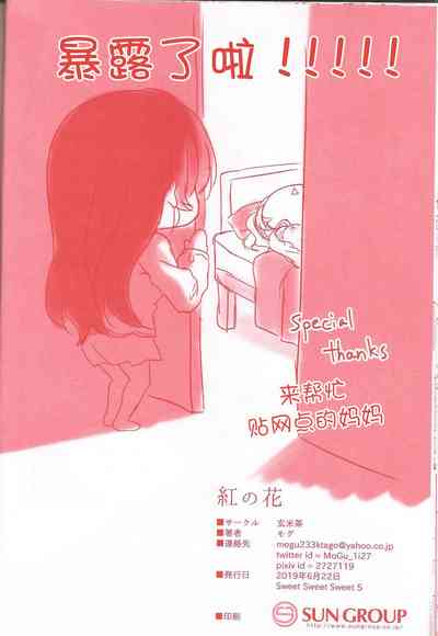 第19頁圖
