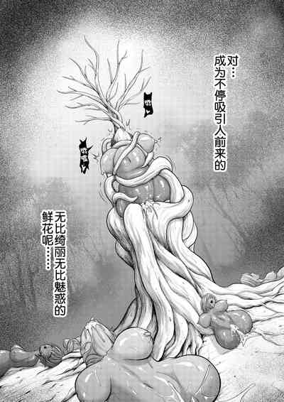 第51頁圖