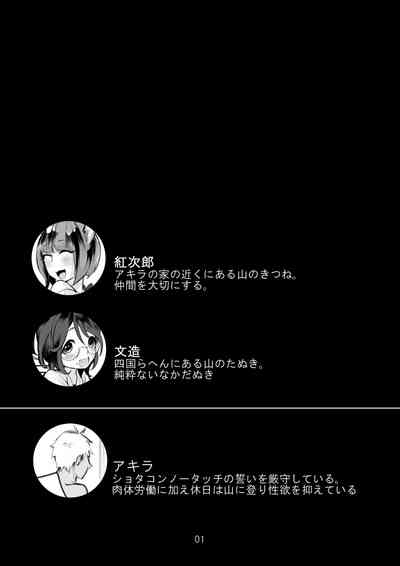 第3页图