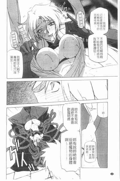 第111頁圖