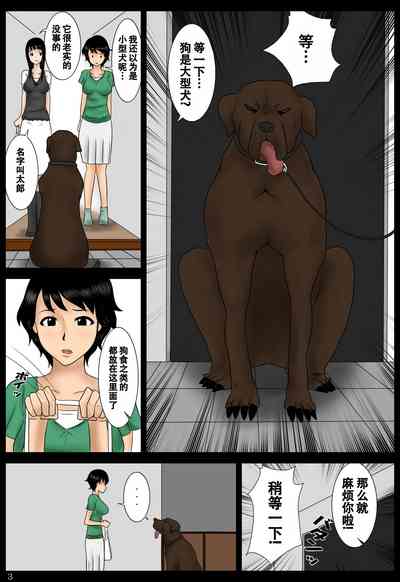 第3页图