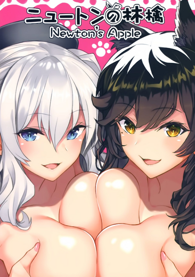 第3页图