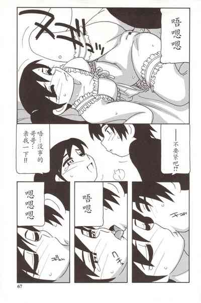 第67頁圖