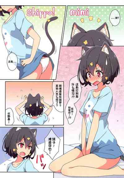 第3页图