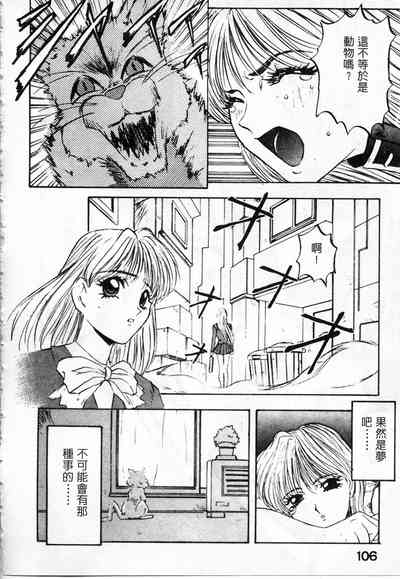 第107頁圖