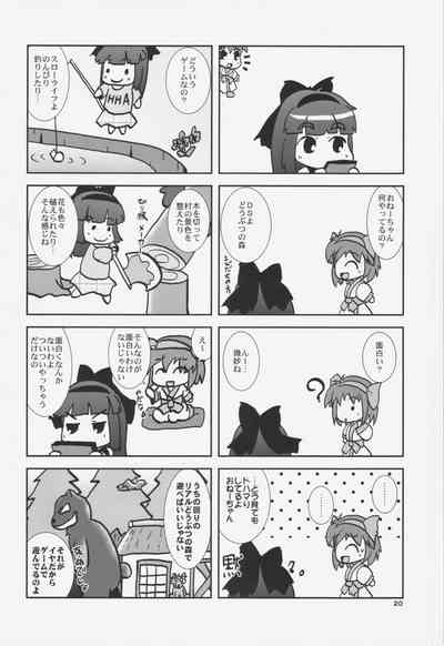 第19页图