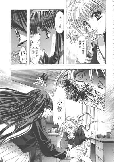 第55頁圖