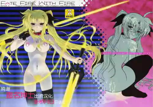 Fate fire with fire Book III圖