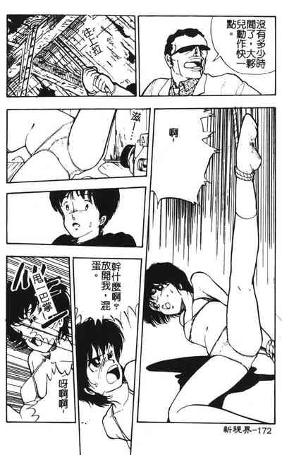 第171頁圖