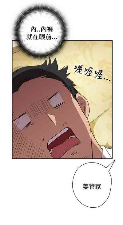第535頁圖
