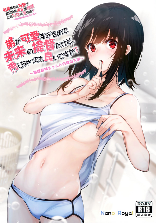 弟が可愛すぎるので未來の提督だけど、愛しちゃっても良いですか?圖