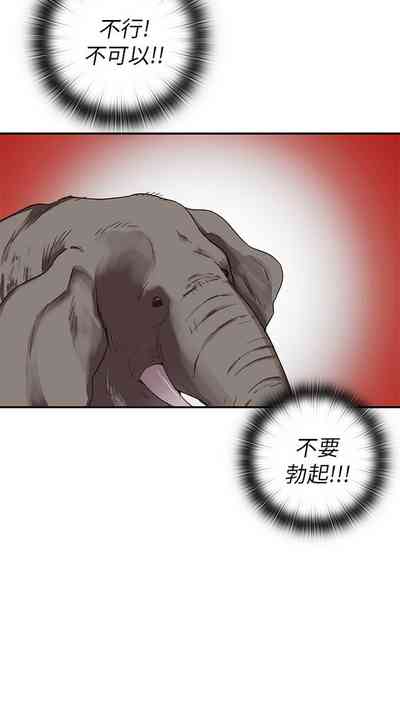 第171頁圖