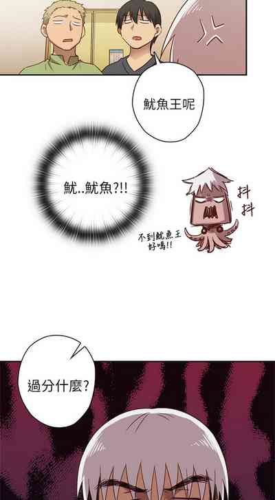 第239頁圖