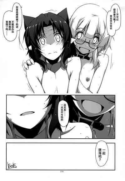 第219頁圖