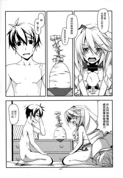 第43頁圖