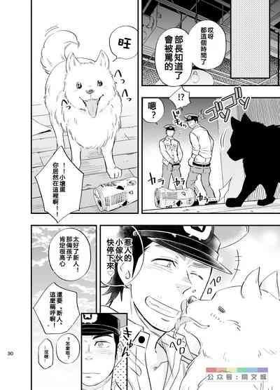 第31页图