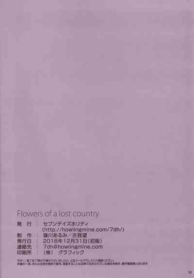 第19頁圖