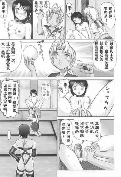第43頁圖