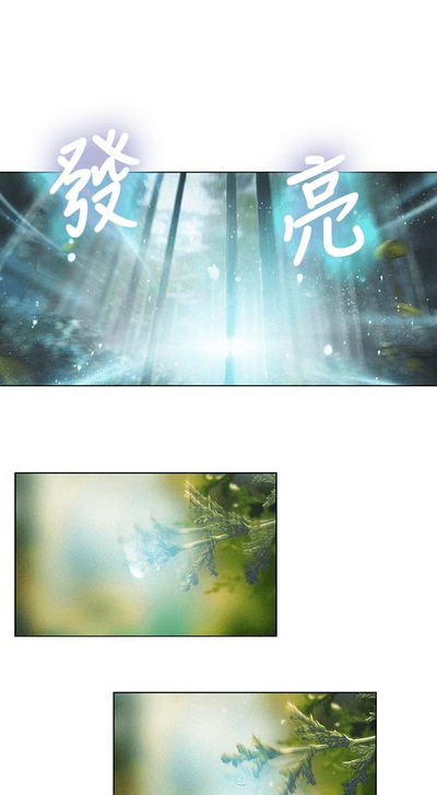 第151頁圖