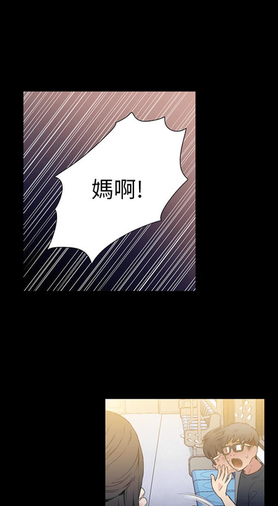 第195頁圖