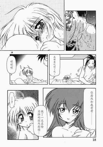 第19頁圖