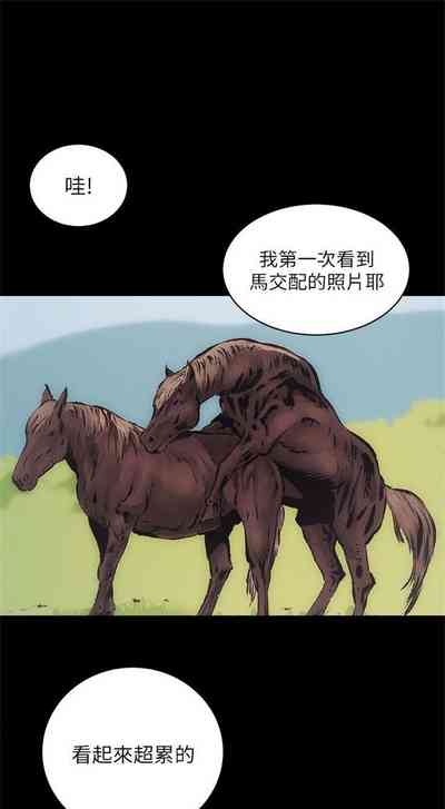 第91頁圖