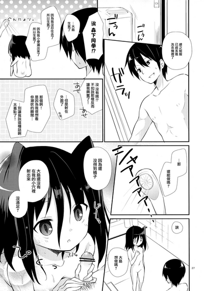 第27頁圖