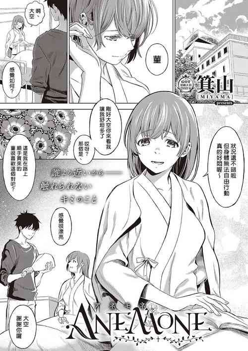アネモネ圖